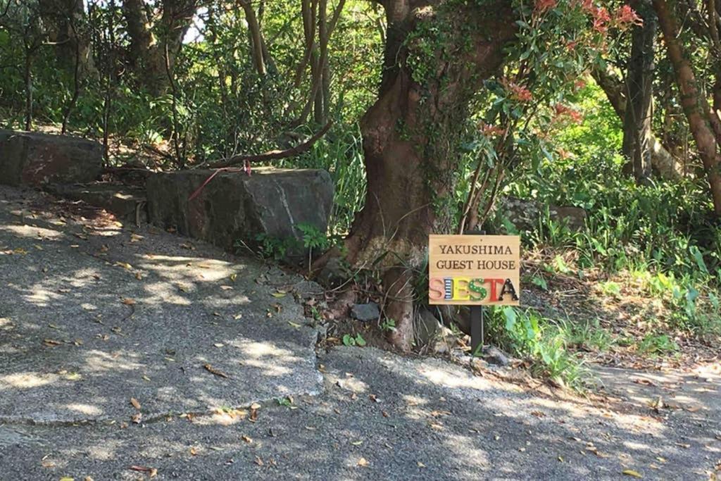屋久島シエスタyakushima Entire House With A Wonderful View * Yakushima (Kagoshima)