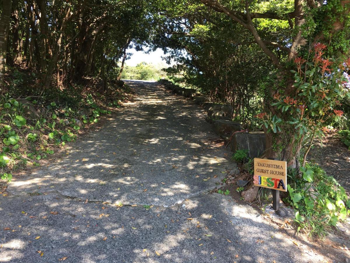 屋久島シエスタyakushima Entire House With A Wonderful View * Yakushima (Kagoshima)